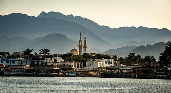 زيارة المسجد الكبير في أمستردام